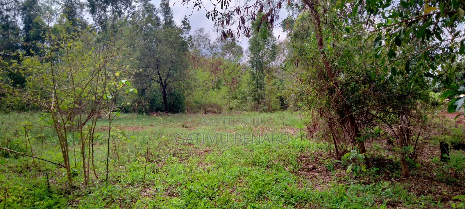 One Acre for Sale in Kirinyaga Riagîcheru