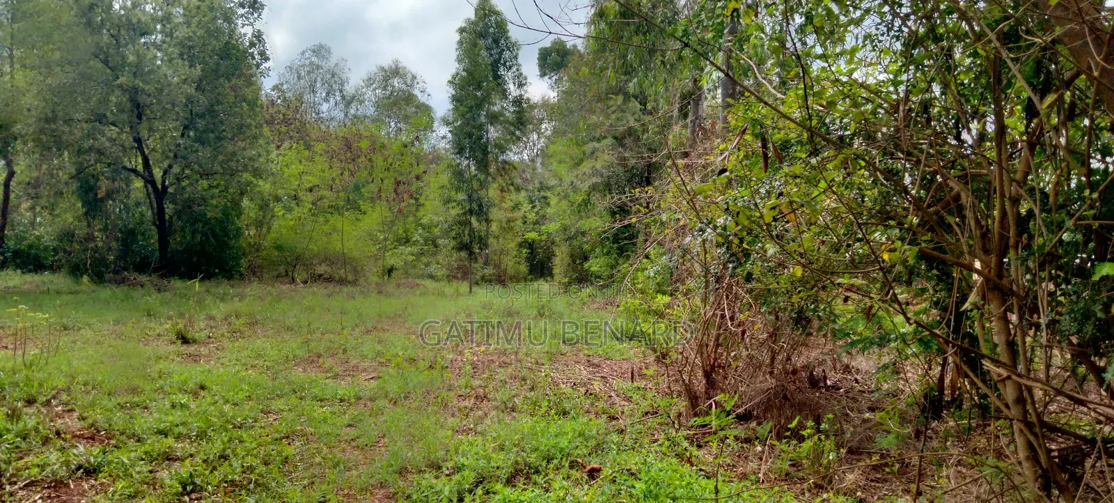 One Acre for Sale in Kirinyaga Riagîcheru