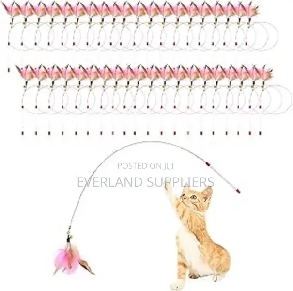 Cat Play Wand With Feather Attachment