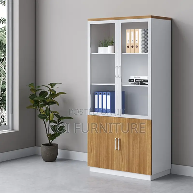 Office Cabinet; Two Doors Executive Office Cabinet