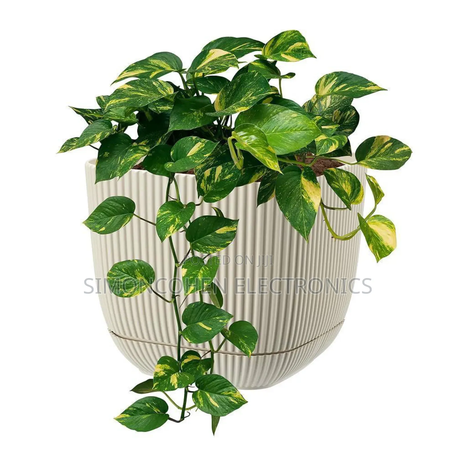 4l Coral Square Planter Pot