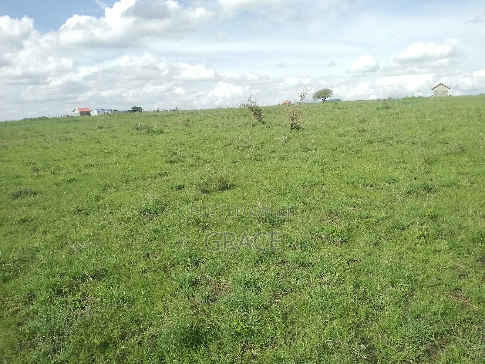 Prime 1/8 Acre Plots for Sale in Joska – Ready Title Deeds