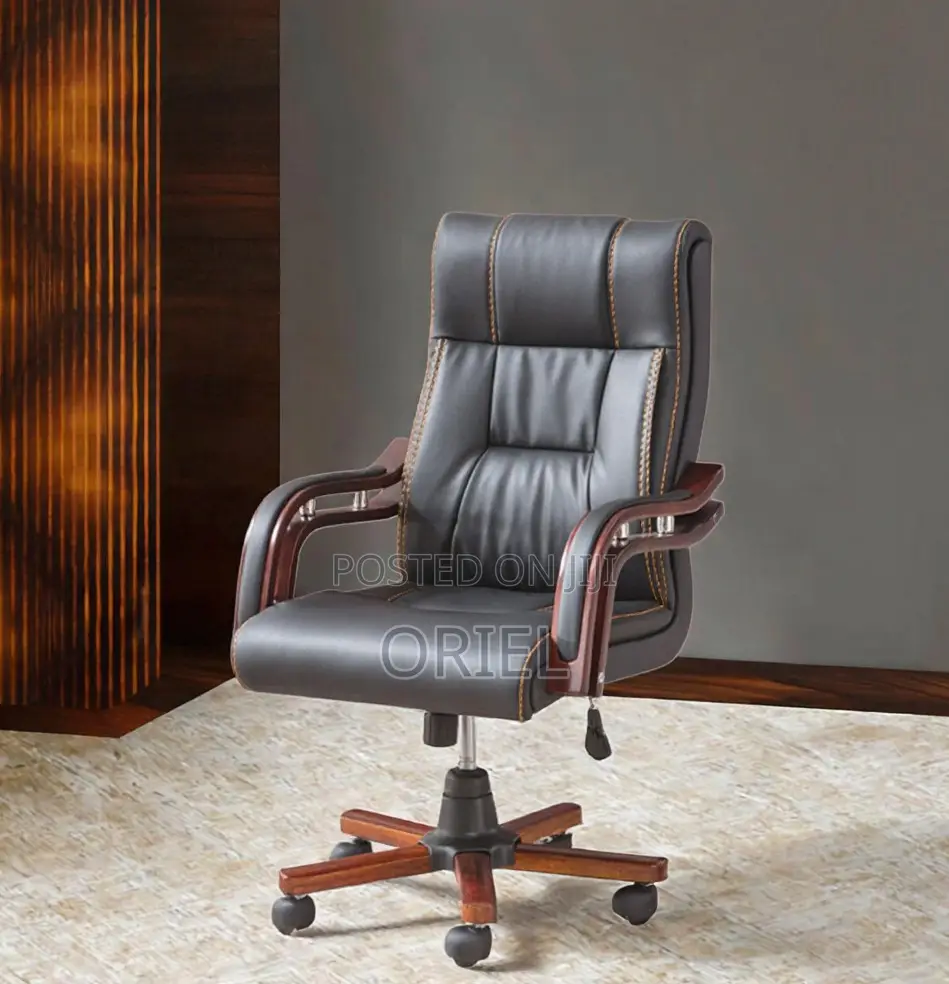 Office Chairs; Bliss Modern Ergonomic Executive Office Work Chair
