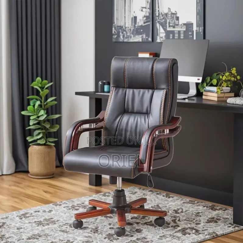 Office Chairs; Bliss Modern Ergonomic Executive Office Work Chair