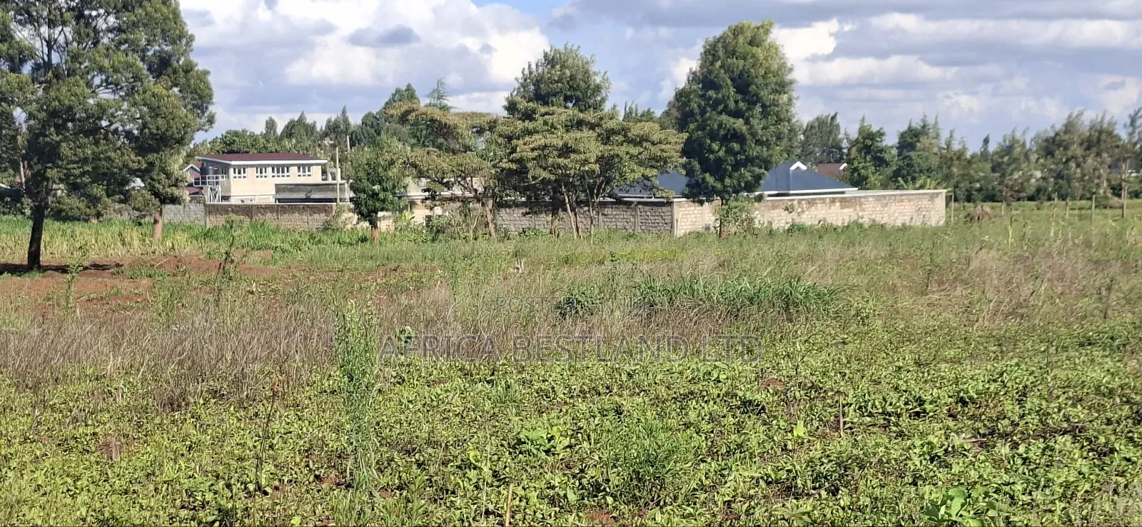 100x100 Available Residential Plot in Kikuyu Ng'amba