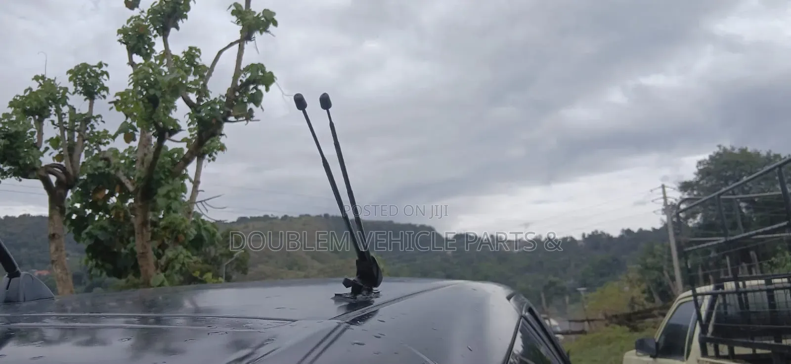 Car Antenna Manual Universal In All Vehiclestv/Fm Aerial Roof Top