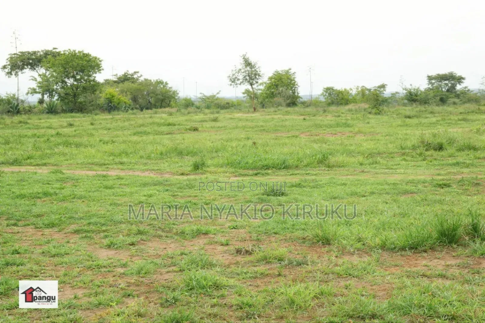 Lily Gardens Matuu Phase 4