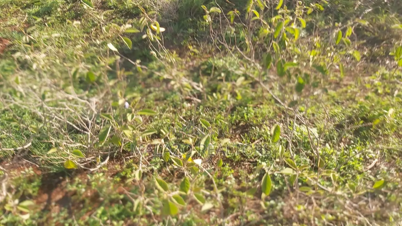 10 Acres Land for Sale in Salama