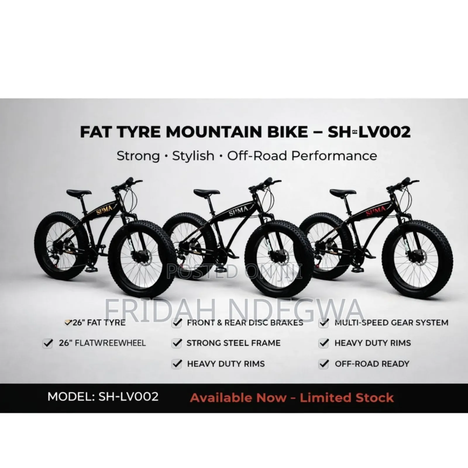 Fat Tire Mountain Bike 26'