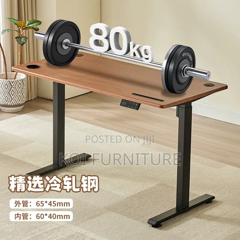 Office Desk : 1.2m Modern Electric Height-Adjustable Desk