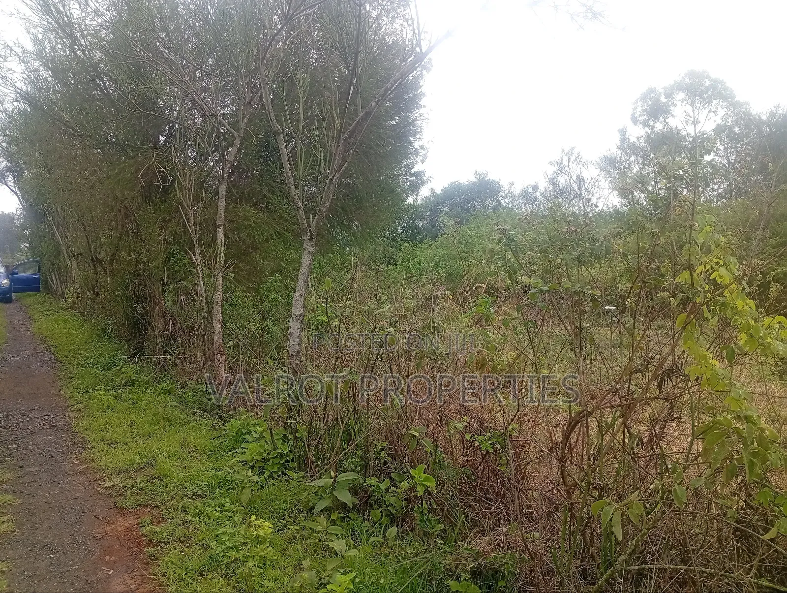 1acre Land for Sale in Matasia,Ngong.