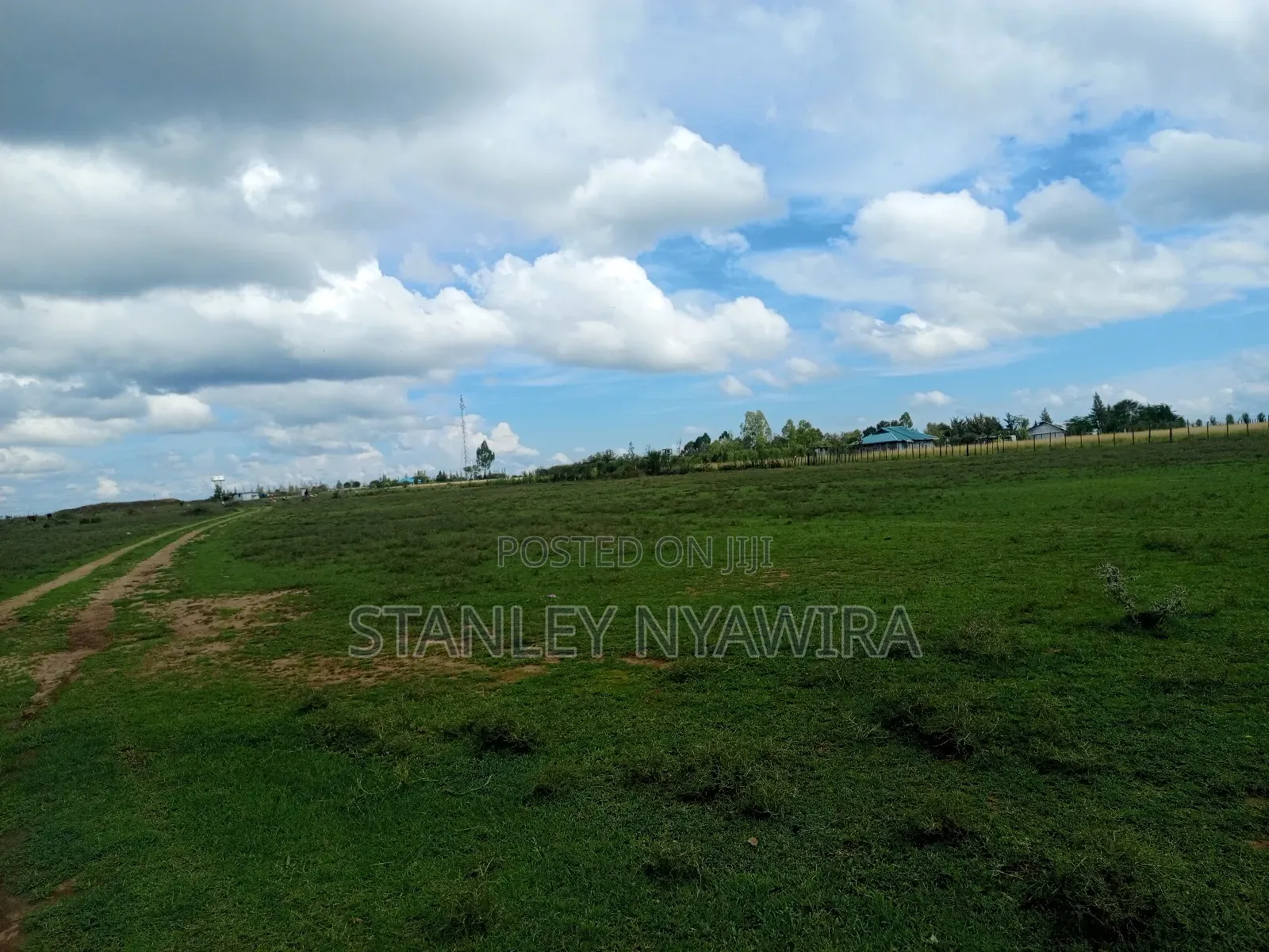 Distress Sale Half Acre Nanyuki Sweetwater
