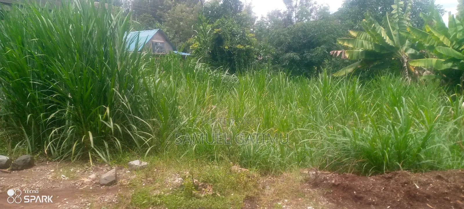 50/100 Muchatha Kiambu Plot for Sale