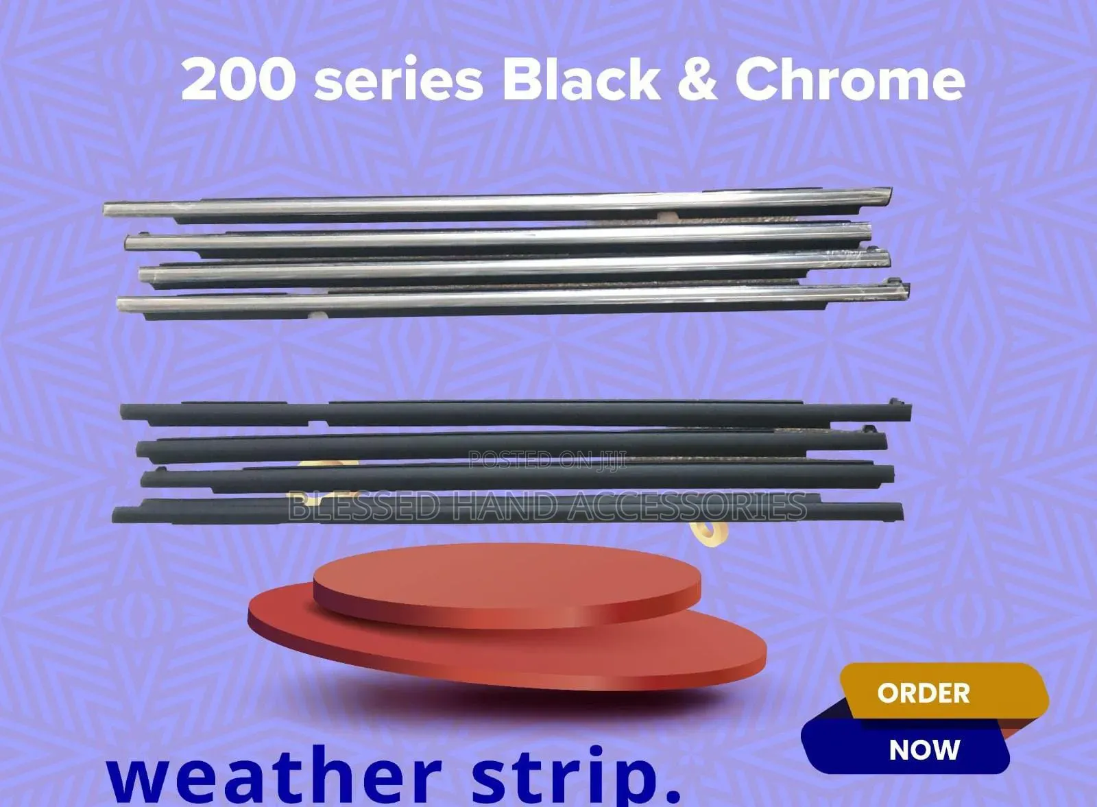 Weather Strips /Mouldings V8 Fj200