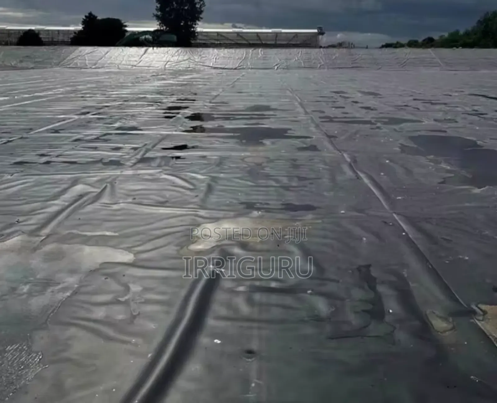 Harvest Water 