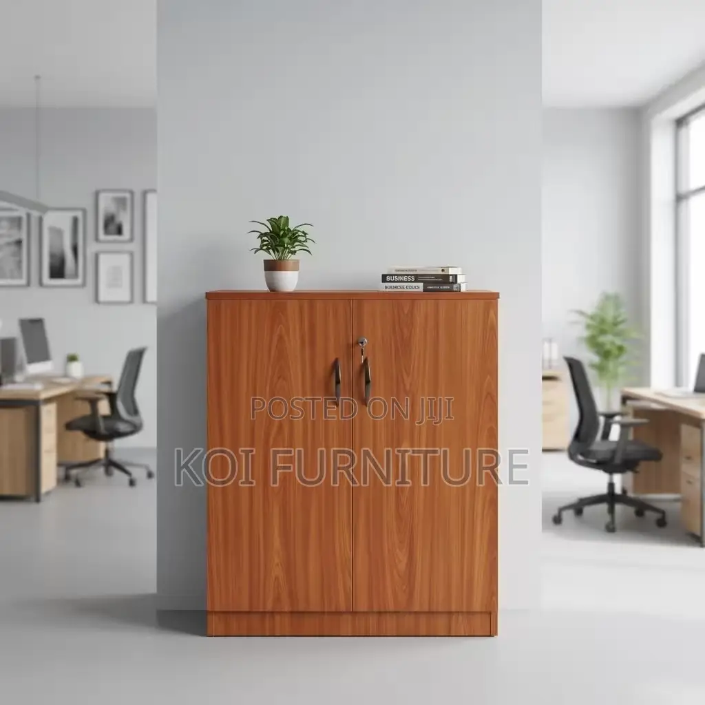 Office Cabinet; Two Doors Credenza Wooden Cabinets