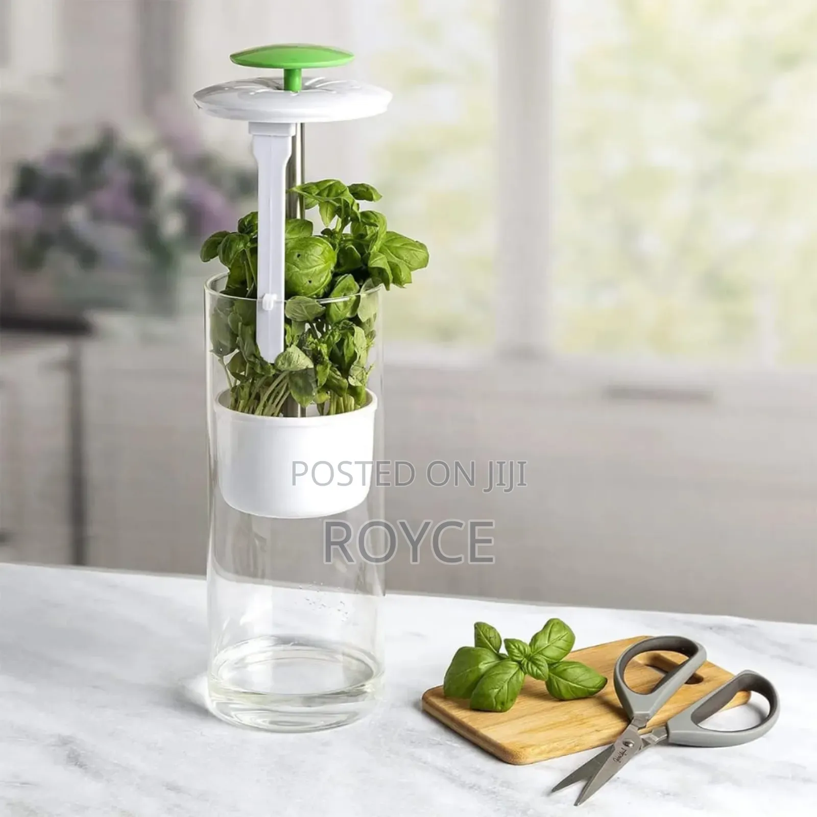 Bpa Free Refrigerator Herb / Vegetable Saver