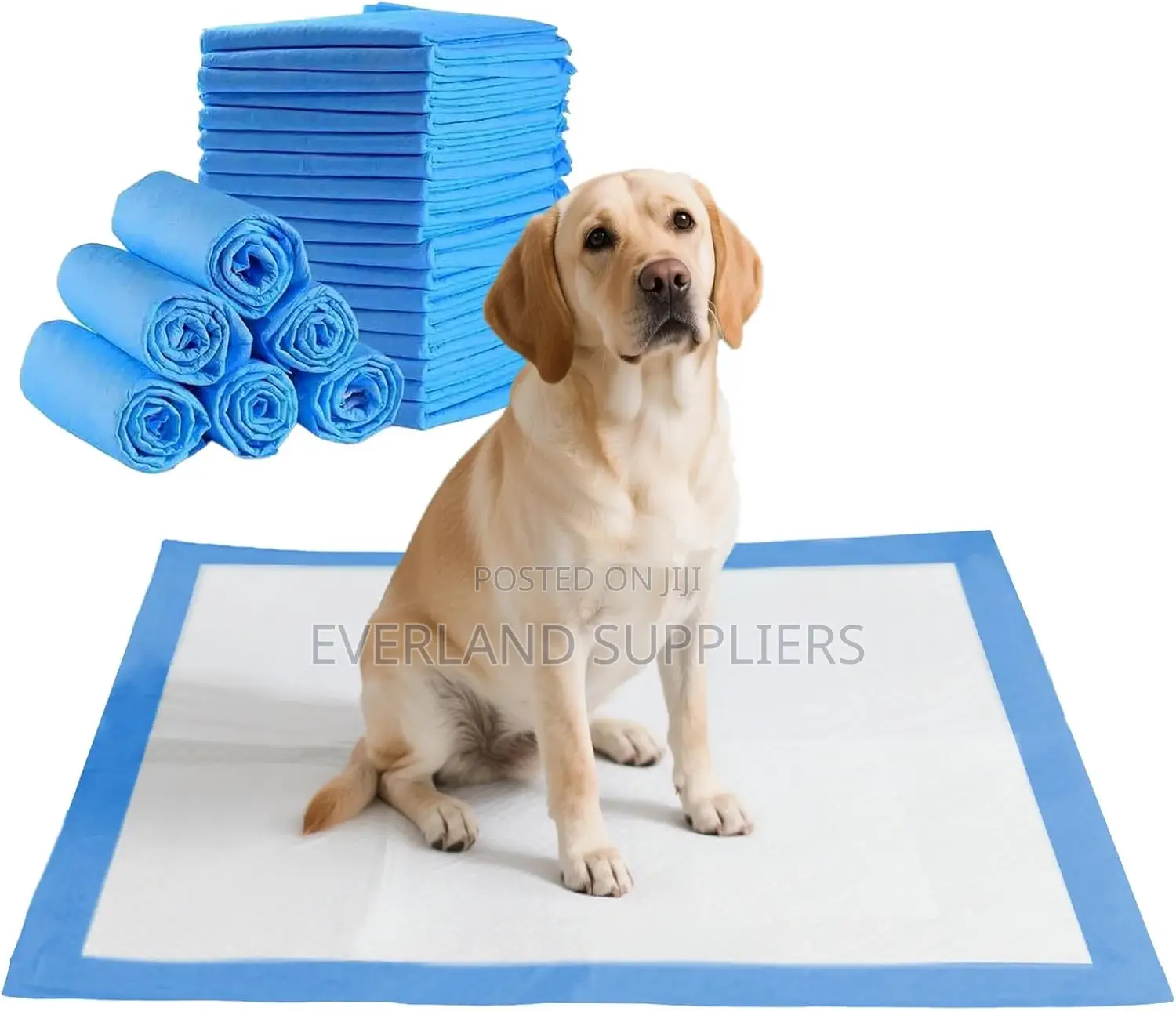 High Quality Dog Training Pads – Fast Absorption.