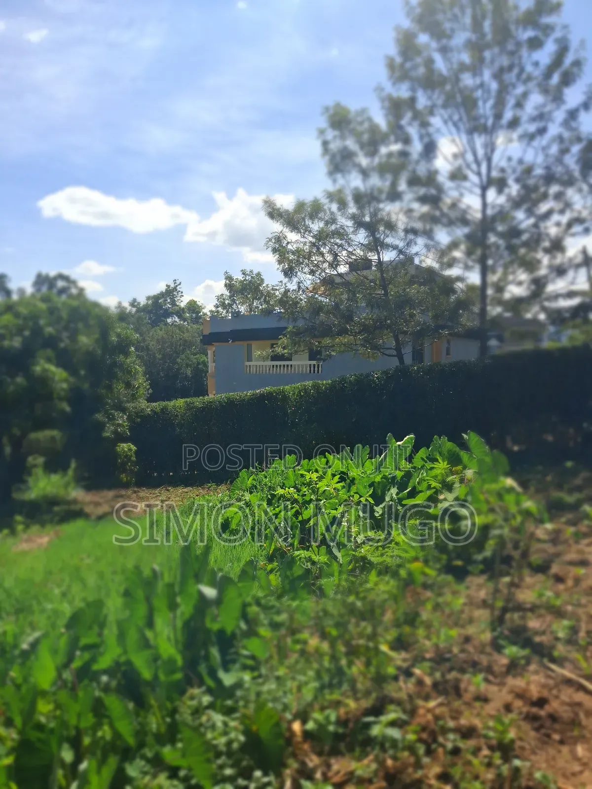 Mugumo Estate Off Ruiru/ Kiambu Road Prime 1/2 Acre