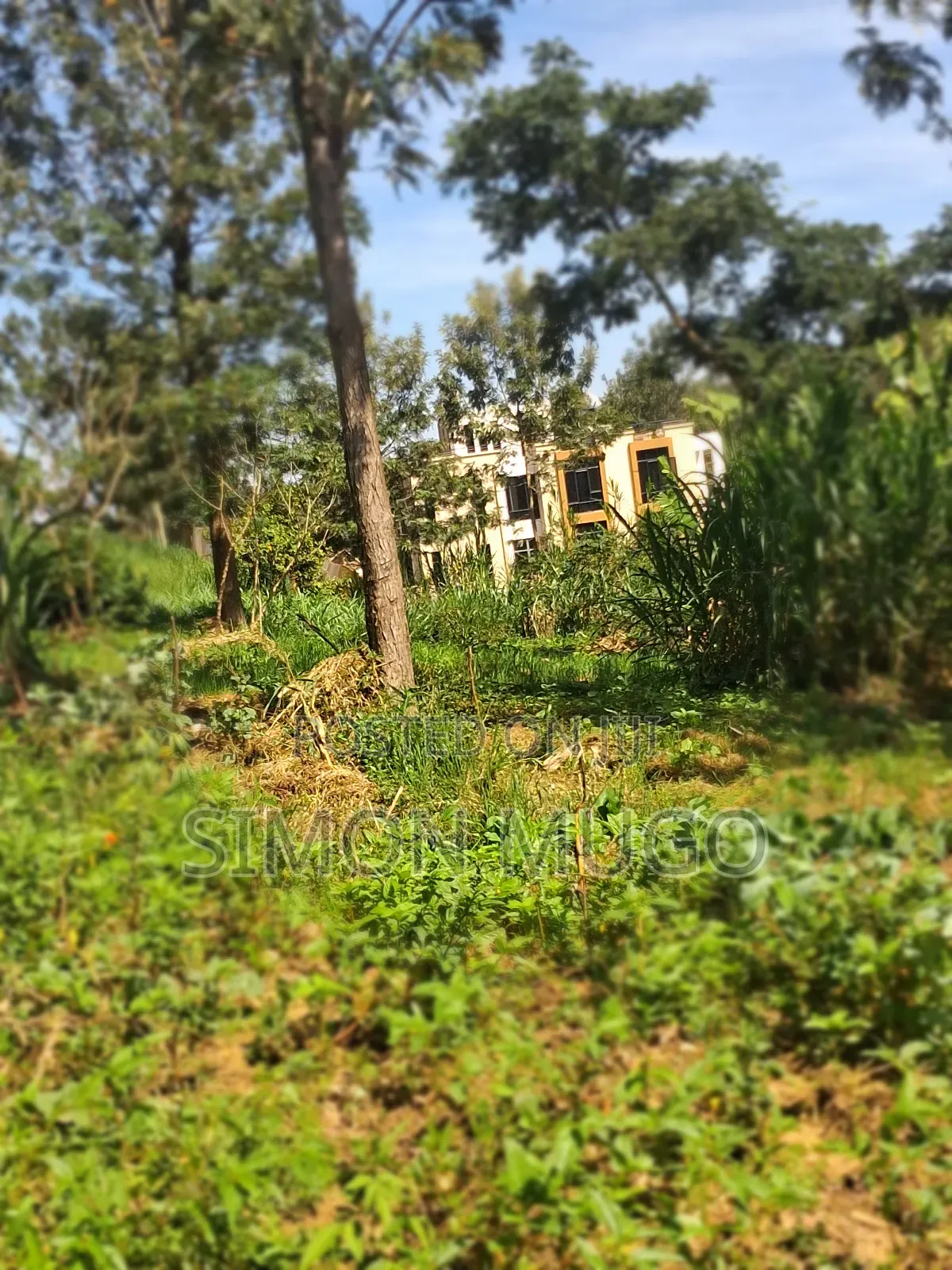 Mugumo Estate Off Ruiru/ Kiambu Road Prime 1/2 Acre