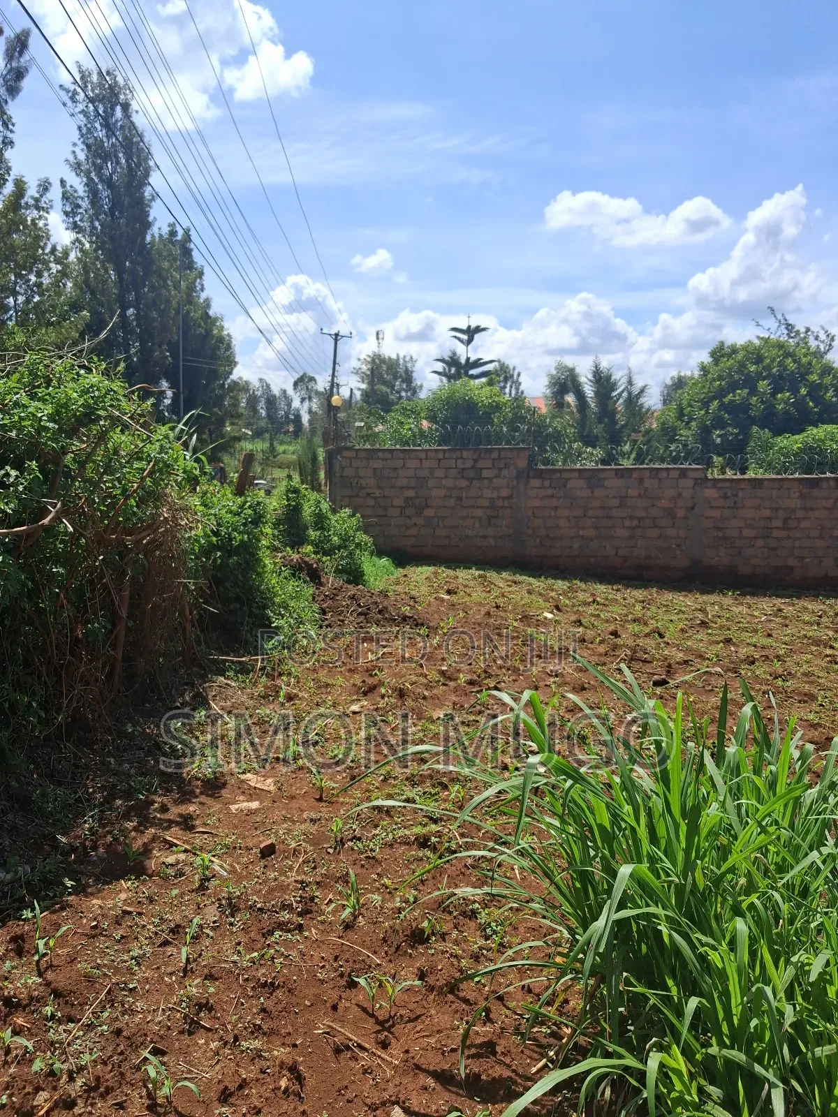 Mugumo Estate Off Ruiru Kiambu Road Prime Well Drained 1/2 Acre