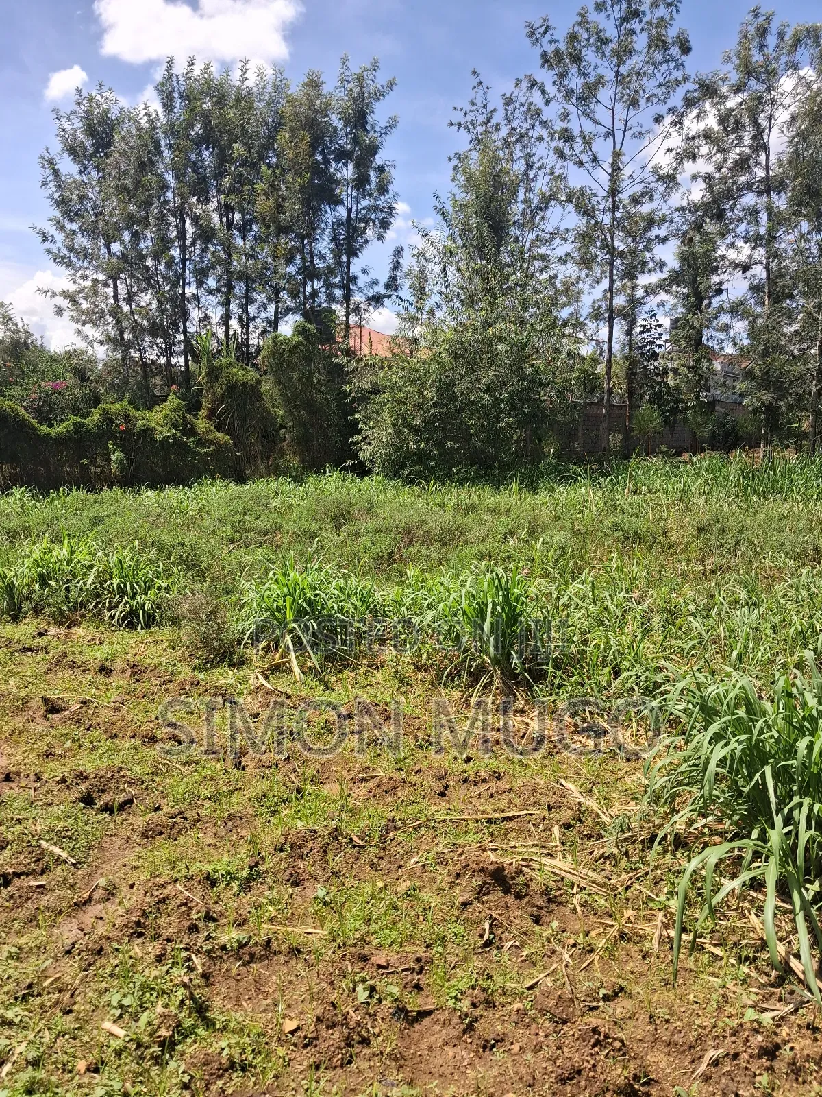 Mugumo Estate Off Ruiru Kiambu Road Prime Well Drained 1/2 Acre