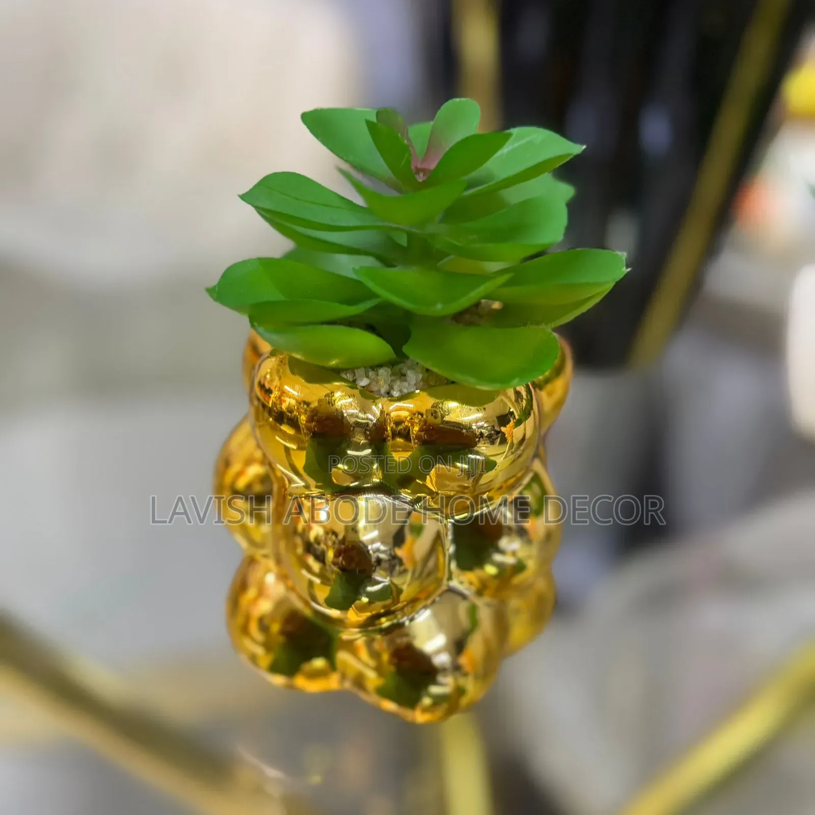 Gold/Green Decorative Homes/Office Succulent