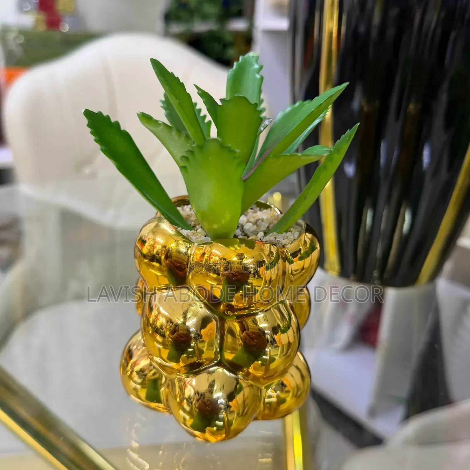 Gold/Green Decorative Homes/Office Succulent