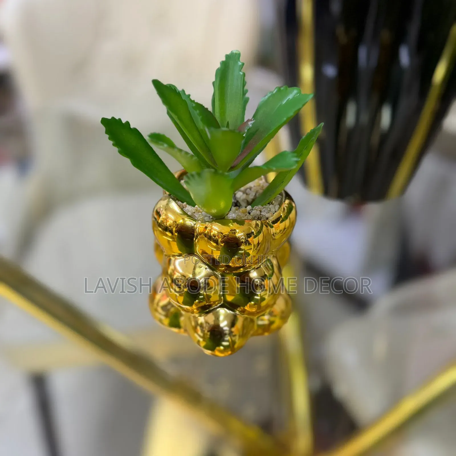 Gold/Green Decorative Homes/Office Succulent