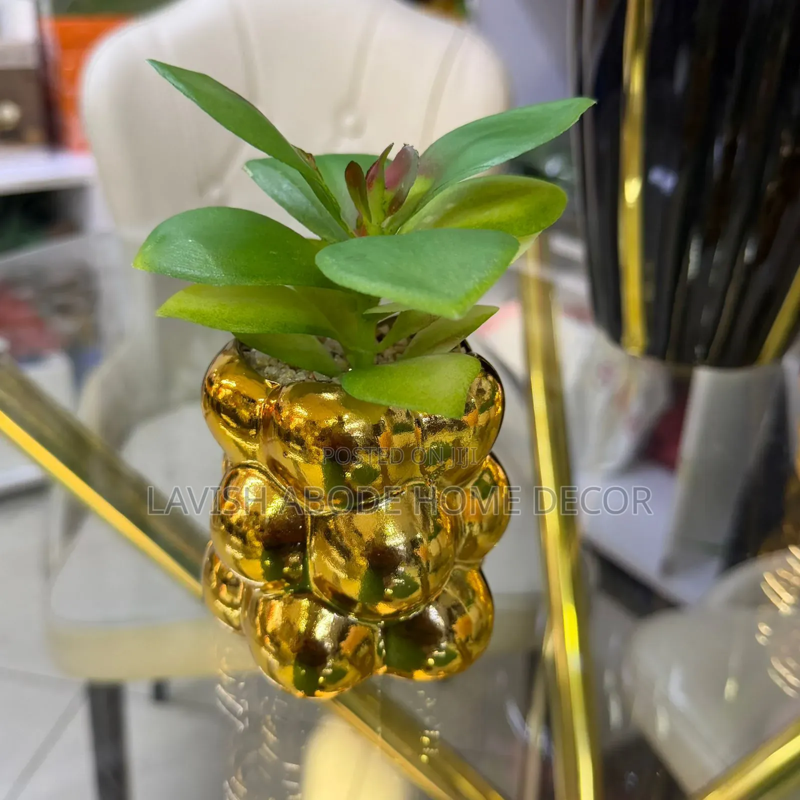 Gold/Green Decorative Homes/Office Succulent