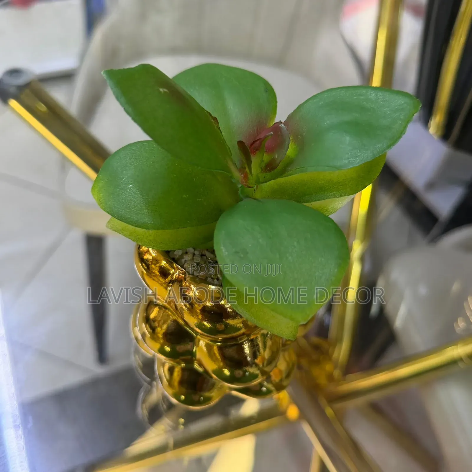 Gold/Green Decorative Homes/Office Succulent