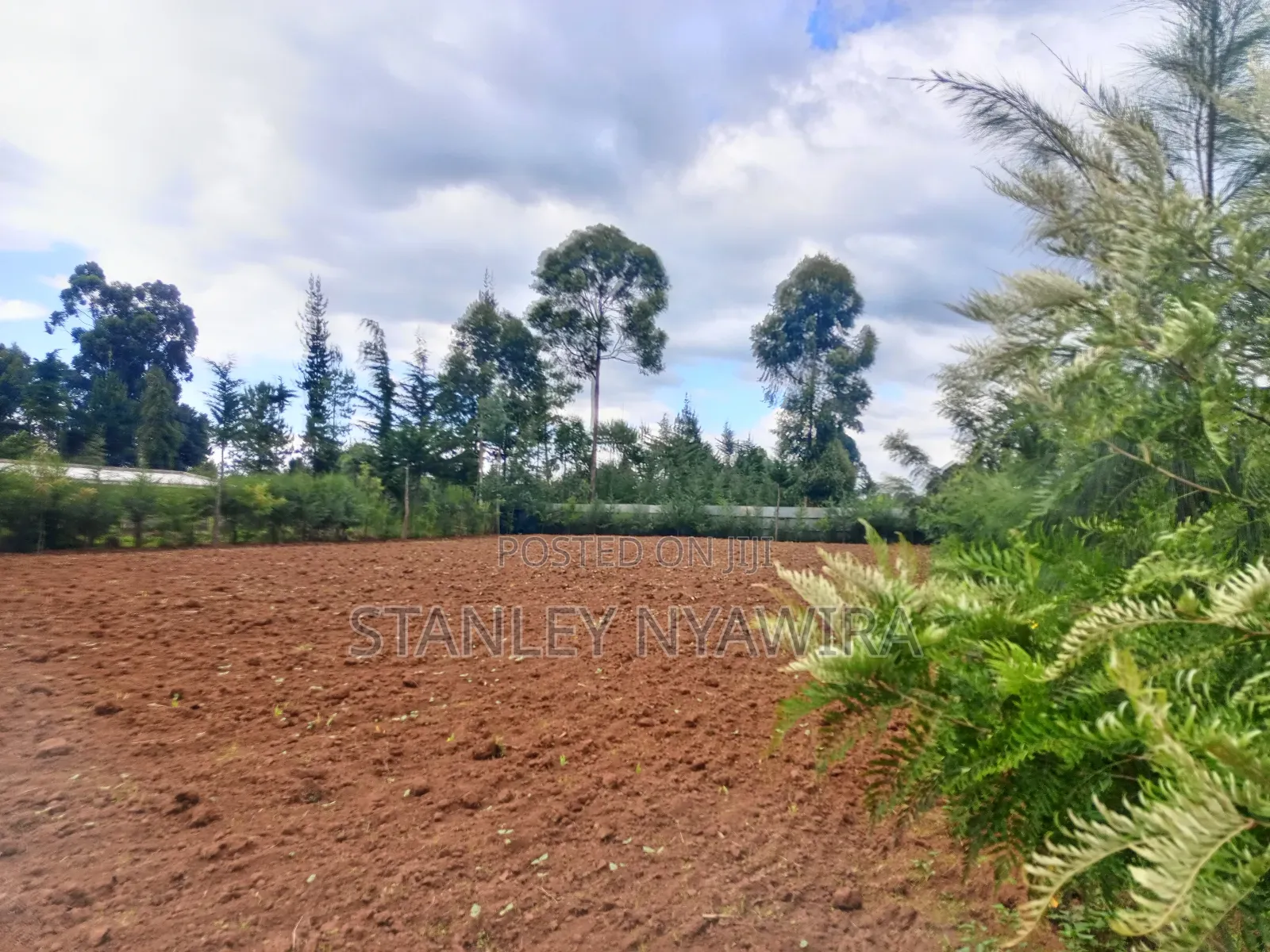 2.5 Acrea Located Ngando Kangaita Nanyuki