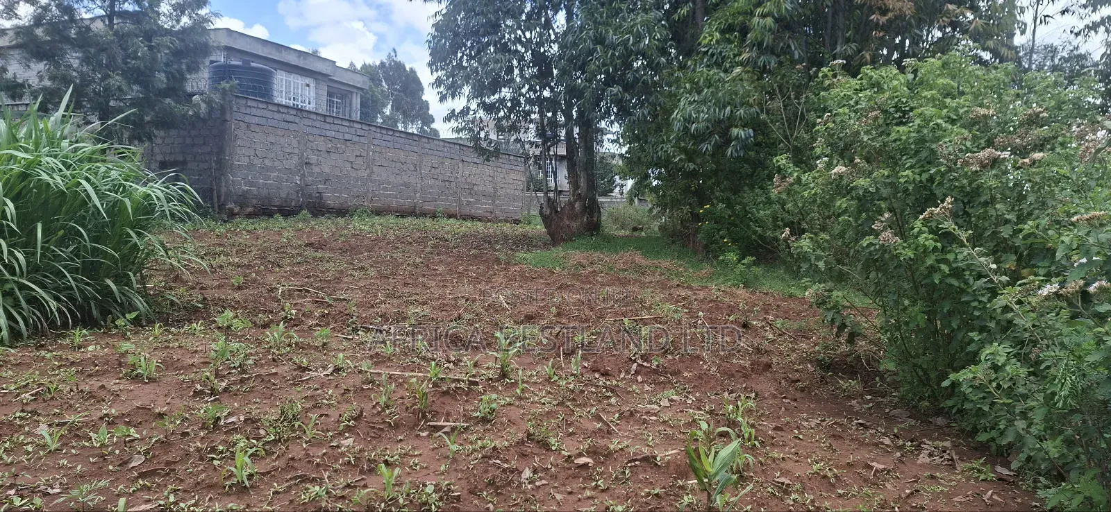 85x100 Residential Plot Available for Sale Gikambura