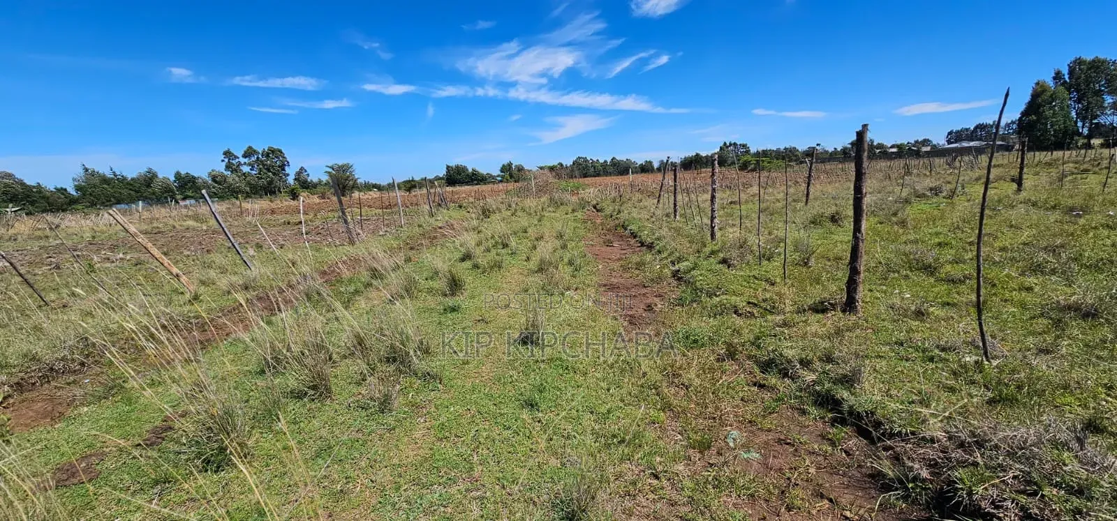 Prime Plots Fir Sale in Marura Eldoret