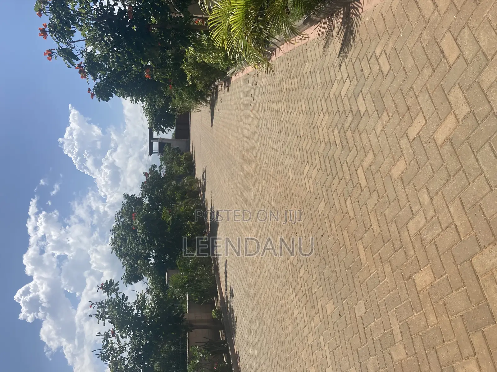 Beach One 1/2 Acre Plot