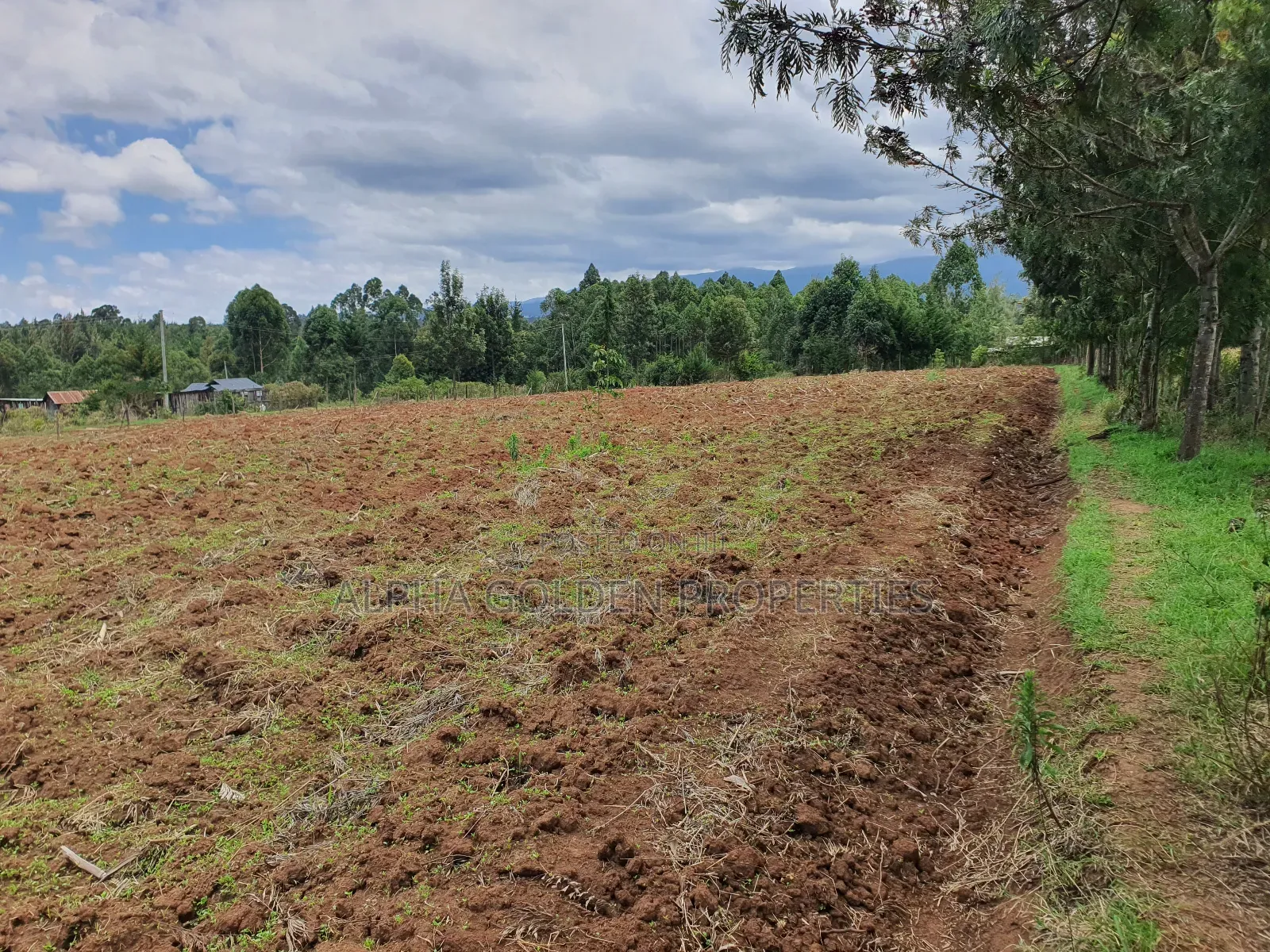 2 Acres in Katheri [ Nanyuki ]