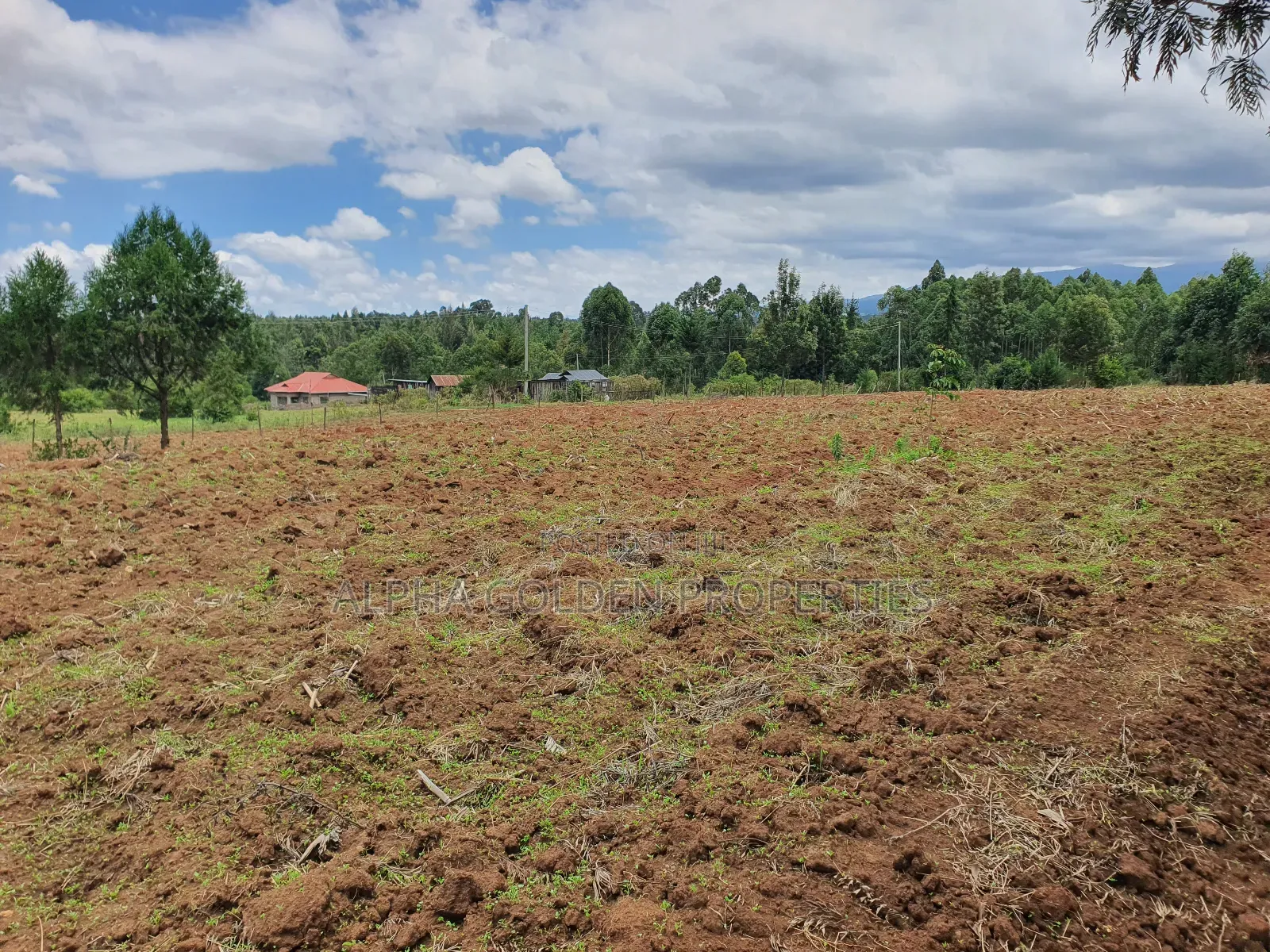 2 Acres in Katheri [ Nanyuki ]