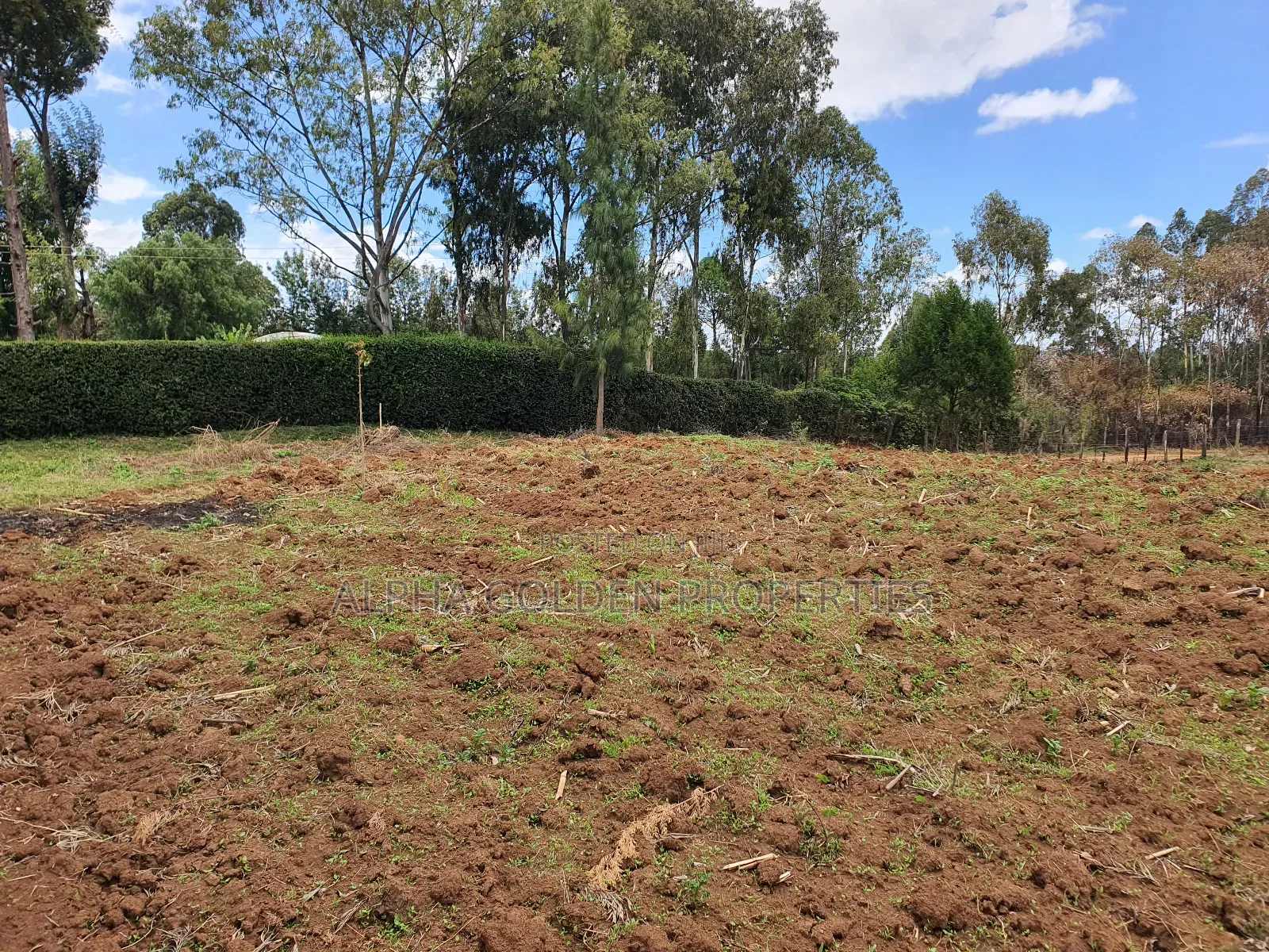 2 Acres in Katheri [ Nanyuki ]