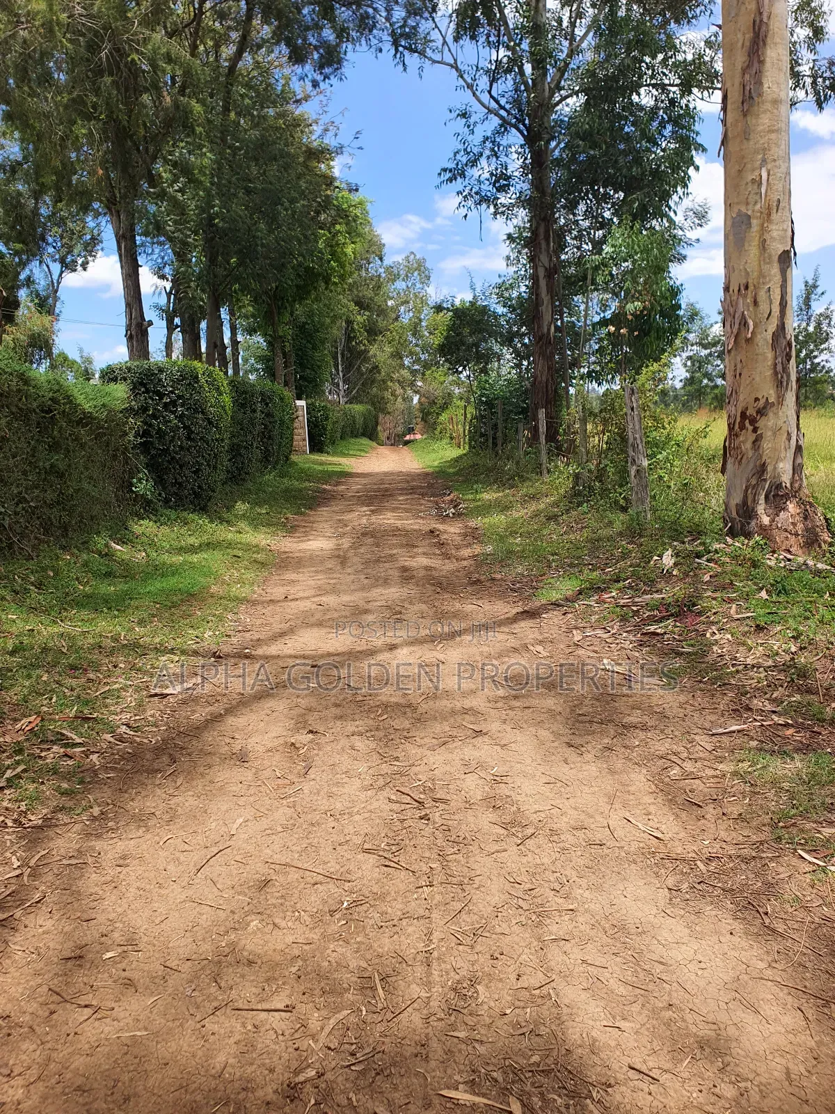 2 Acres in Katheri [ Nanyuki ]