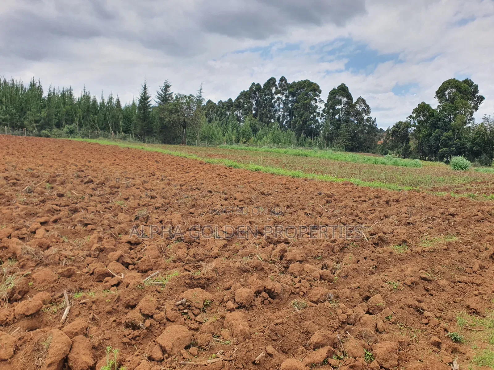 4.5 Acres in Nanyuki [ Katheri ]