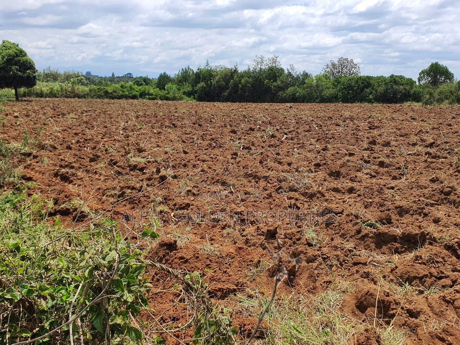 2 Acres in Nkando [ Nanyuki ]