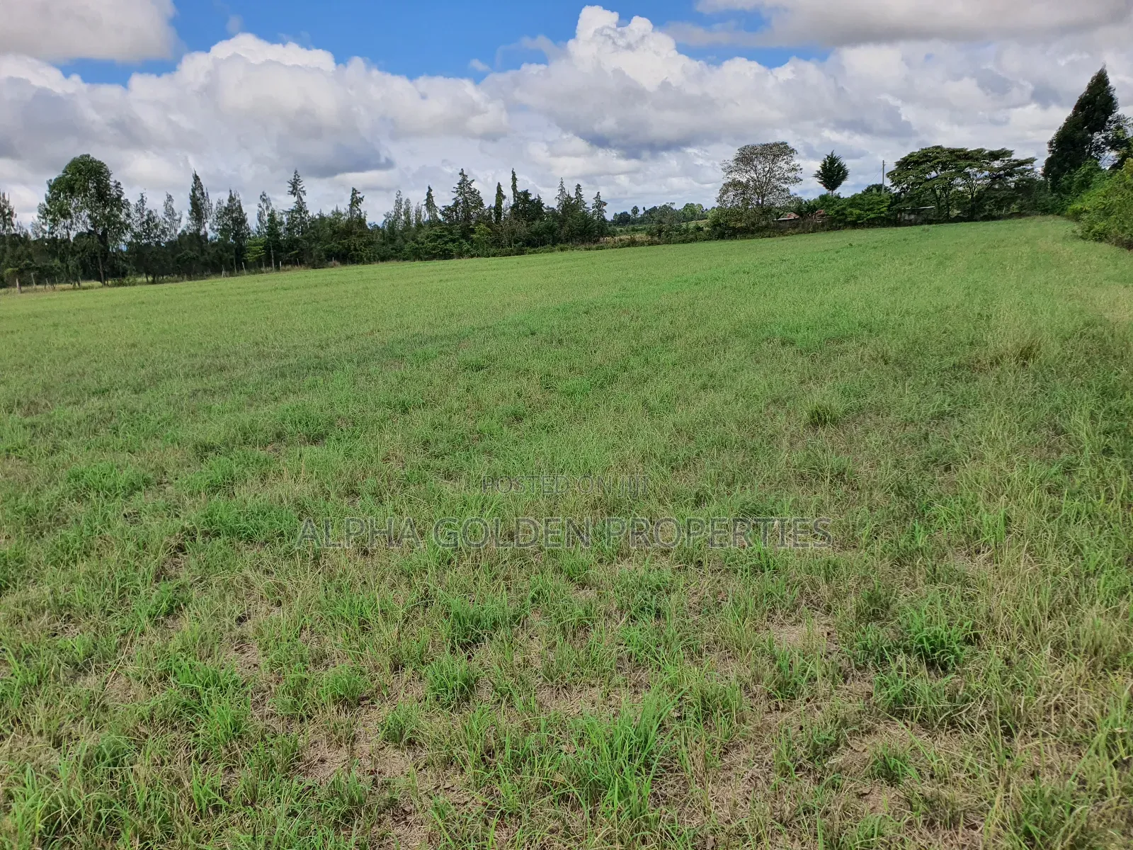 5 Acres on Sale Near Nanyuki Airstrip