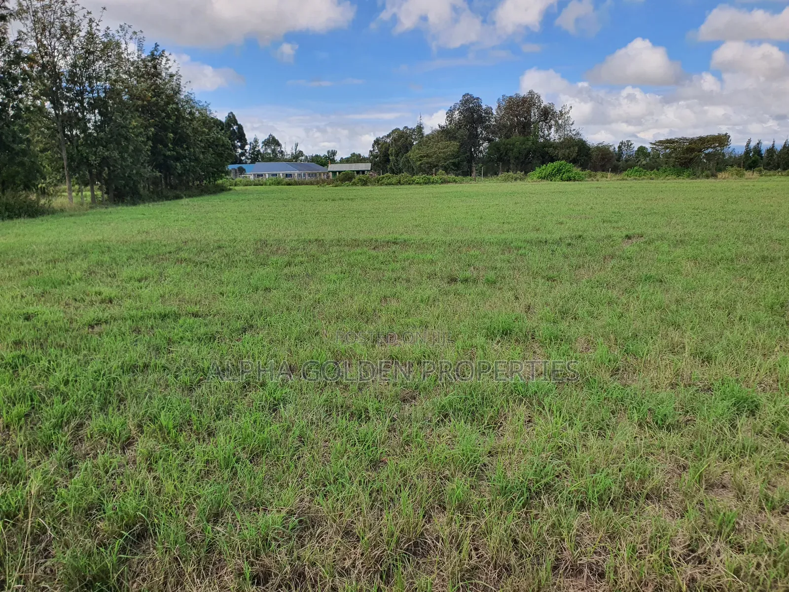 5 Acres on Sale Near Nanyuki Airstrip