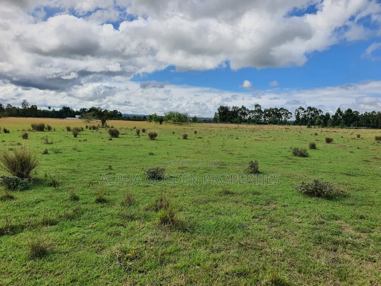 5 Acres in Nanyuki Airstrip