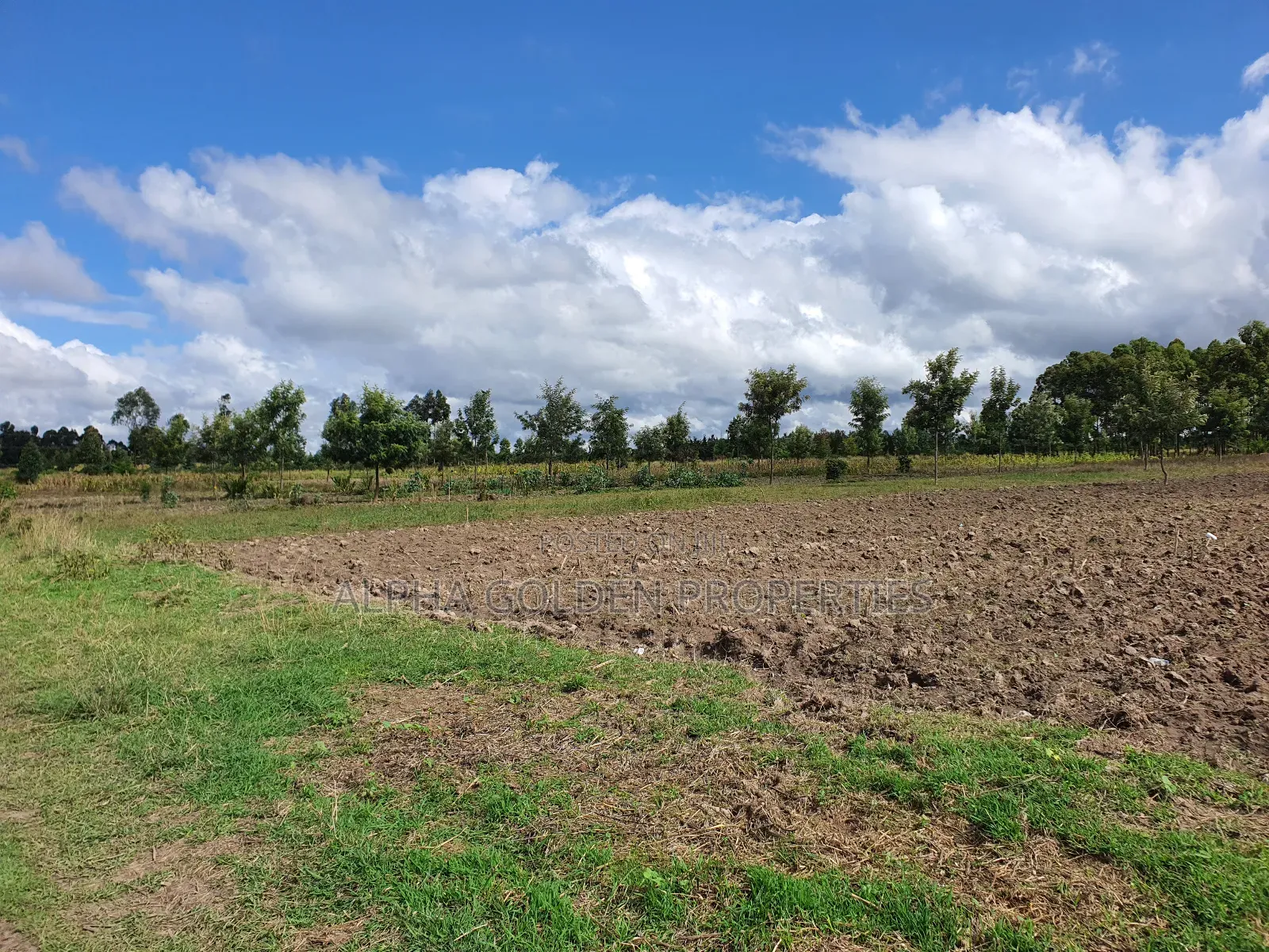 5 Acres in Nanyuki Airstrip
