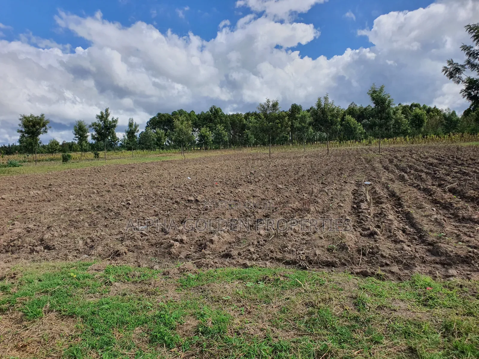 5 Acres in Nanyuki Airstrip