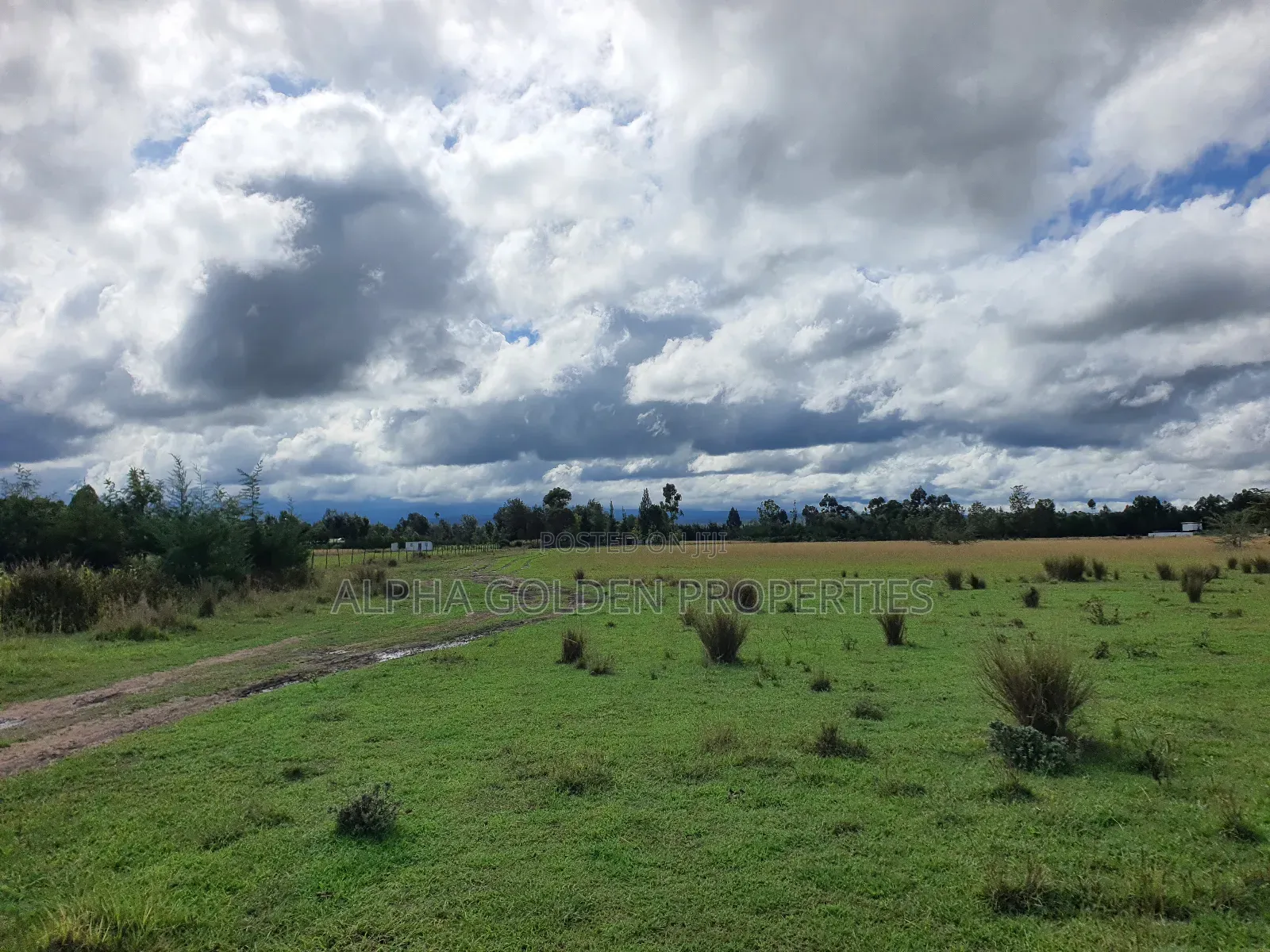 5 Acres in Nanyuki Airstrip