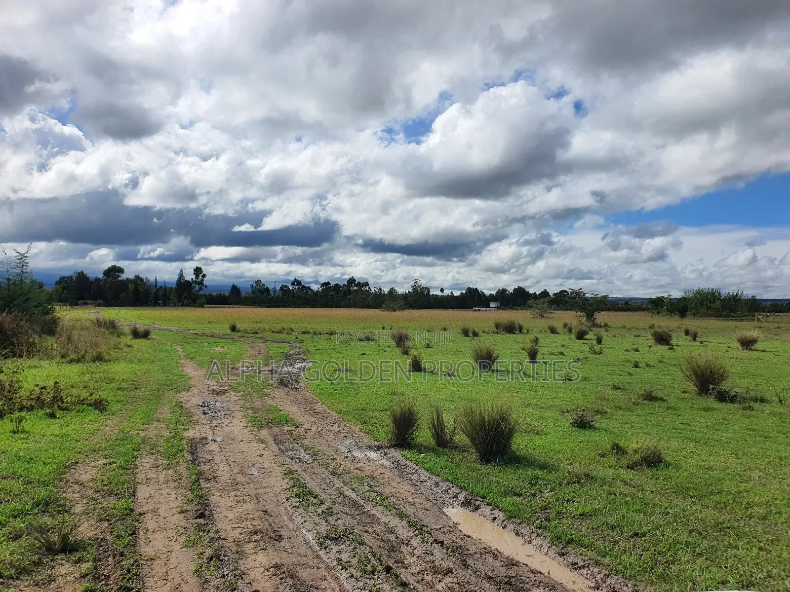 5 Acres in Nanyuki Airstrip