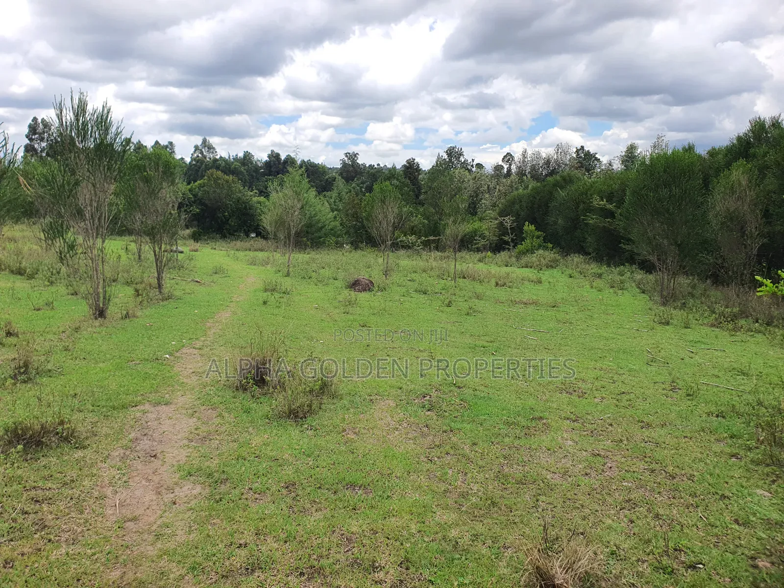 4.5 Acres in Nanyuki With River Frontage