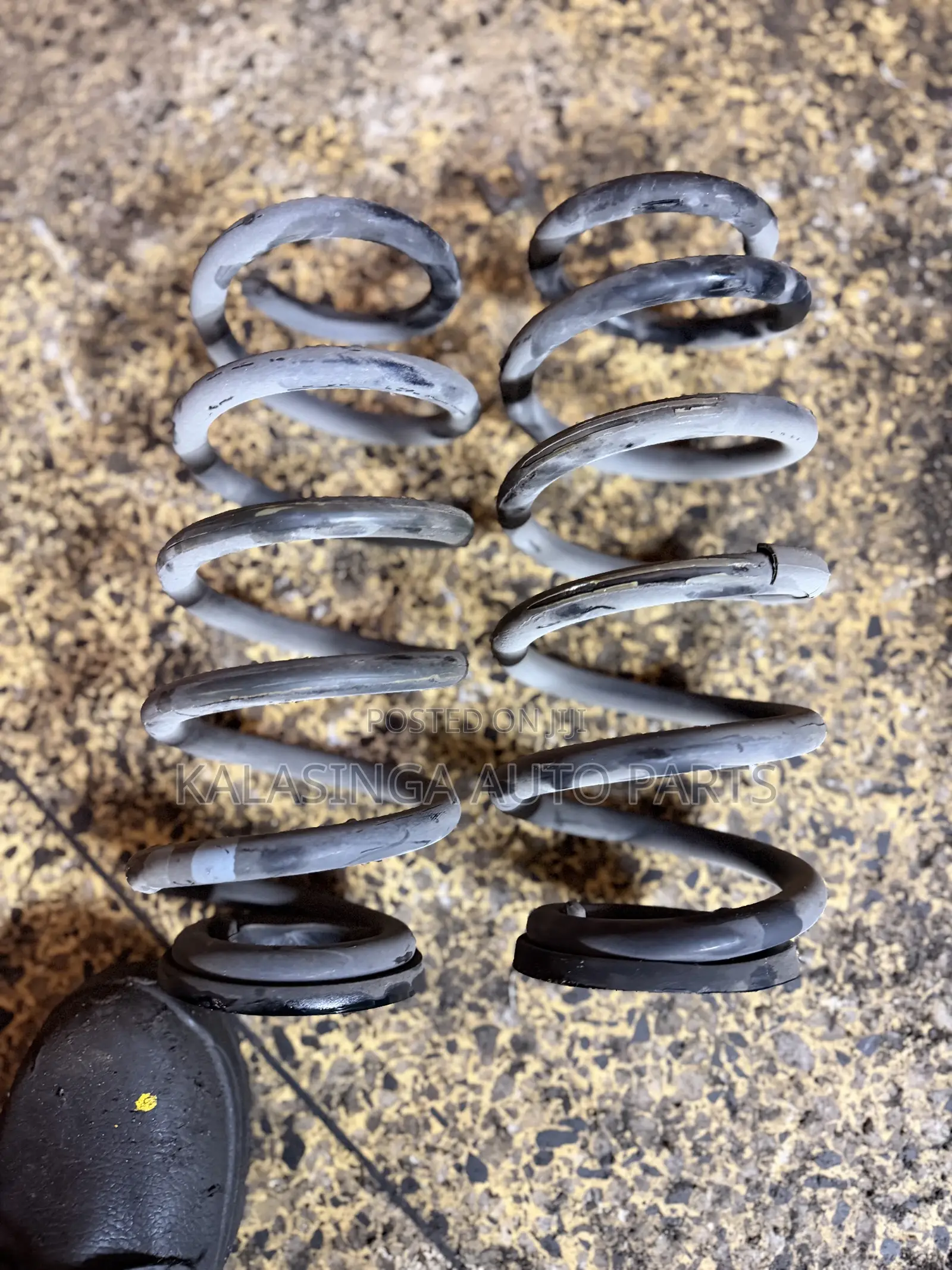 Harrier Rear Coil Springs